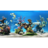 Live Aquarium 4­K